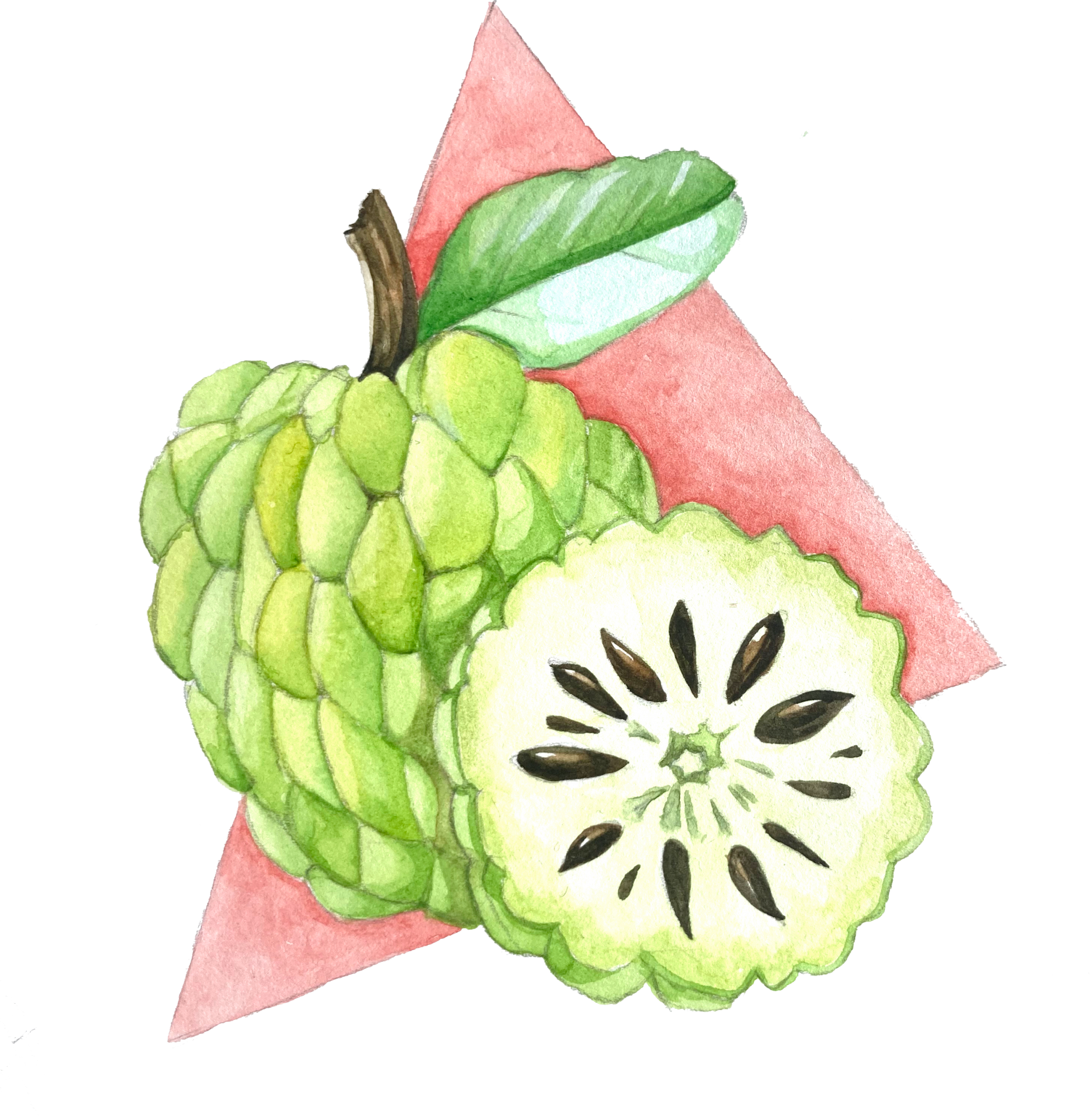 custard-apple