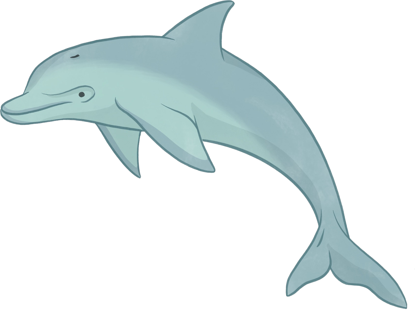 dolphin